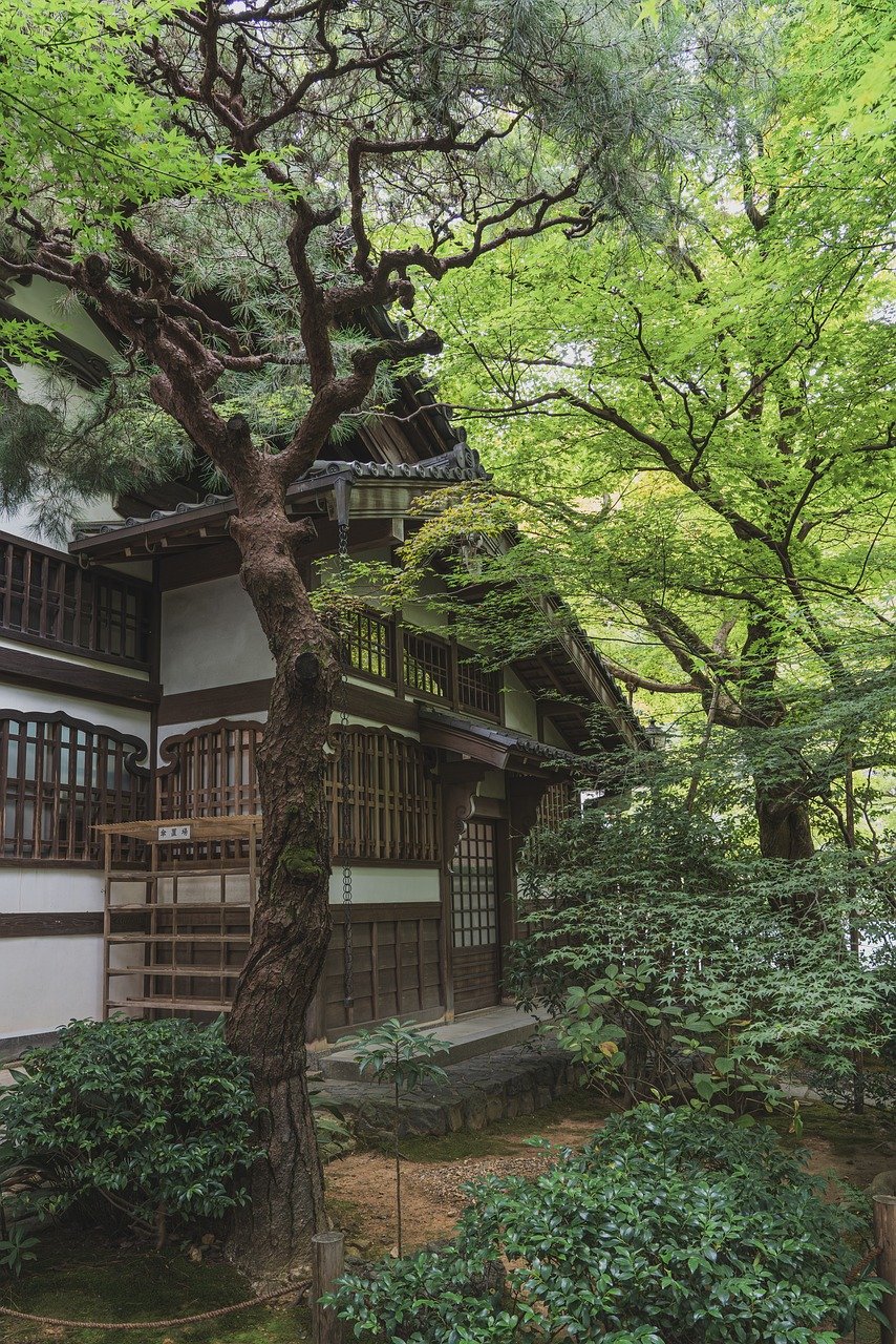 剪定のプロセス—安心の手順